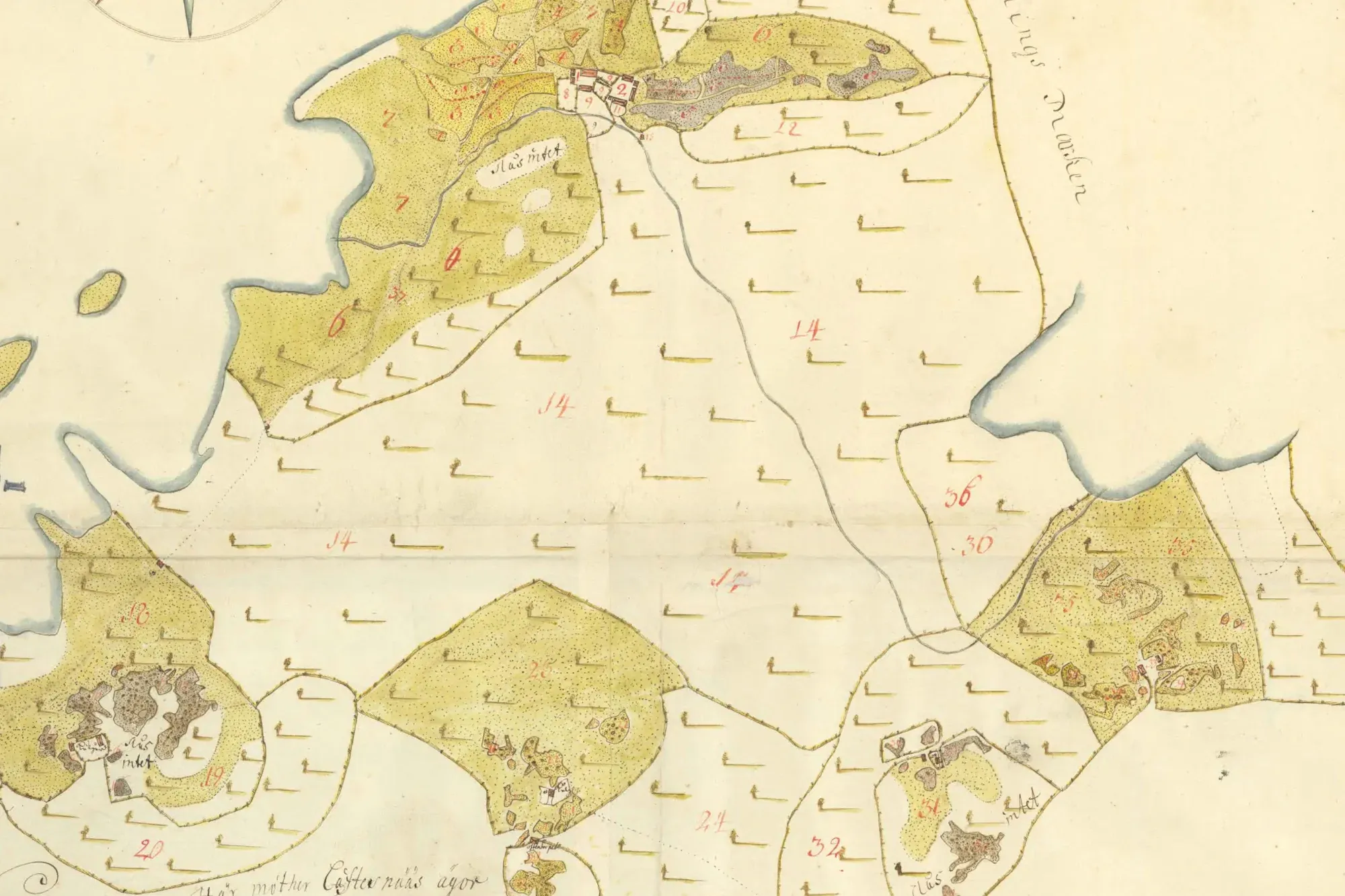 Maps