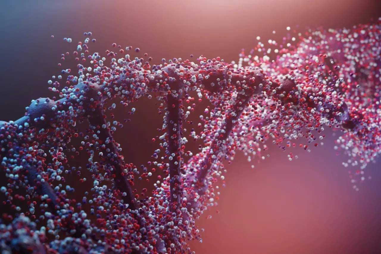 DNA Project